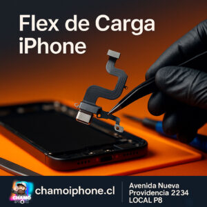 Cambio de Flex de Carga para iPhone 12 Pro Max (Original)